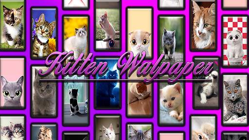 Kitten Wallpaper screenshot 1