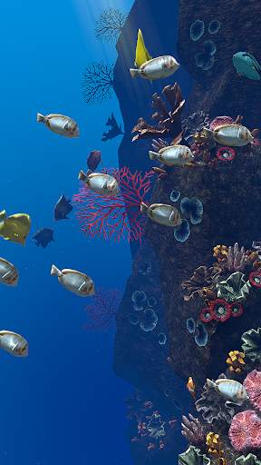 OCEAN AQUARIUM Live Wallpaper FREE screenshot 8