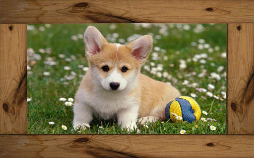 Luxury Photo Frames screenshot 5