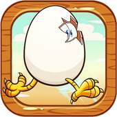 Angry Bird's Egg Epic Adventure 1.0.1