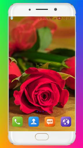 Red Rose Wallpaper screenshot 12