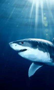 Shark live Wallpaper screenshot 1