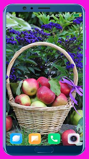 Apple Fruit Wallpaper Best 4K screenshot 1