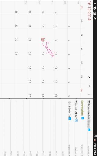FiiWrite screenshot 15