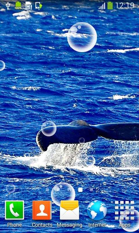 Whale Live Wallpapers  - Free Live Wallpapers screenshot 2