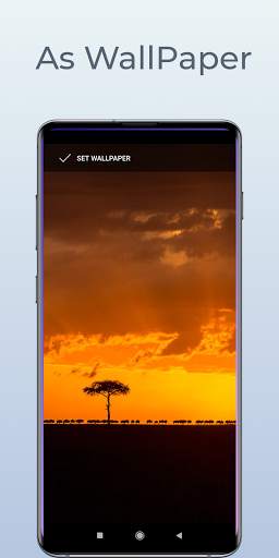 BingWalls - Bing Daily Wallpaper screenshot 2