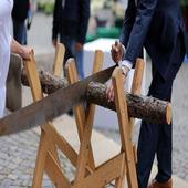 Wood Sawing Sound icon
