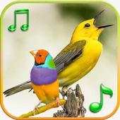 100 bird sounds and ringtones offline 1.4