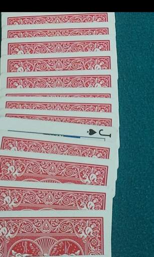 Foto Prediction - Magic Trick screenshot 2