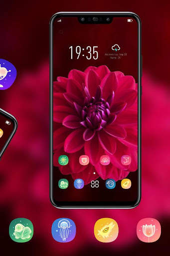 Red Flower Blossom Beautiful theme for REDMI Y2 screenshot 3