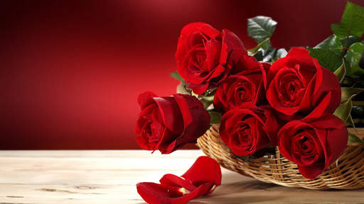 Flowers Love Images screenshot 4