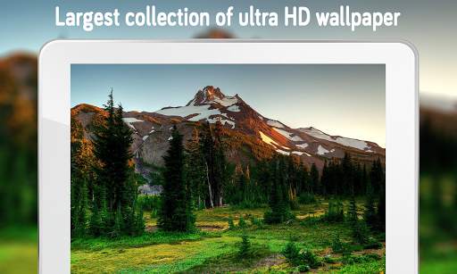 Nature Wallpaper (4k) screenshot 16