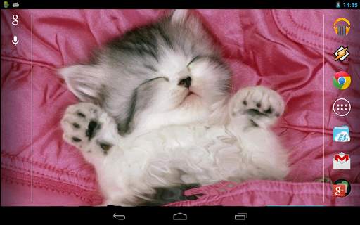 Sleeping Kitty 3D Wallpaper screenshot 7
