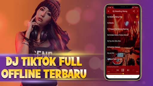 Dj TikTok Full Offline terbaru screenshot 2