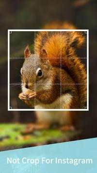 Editor De Fotos screenshot 6