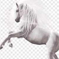 HorsePower Keyboard🐎 logo
