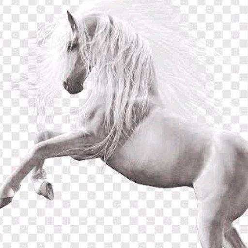 HorsePower Keyboard🐎 2.0