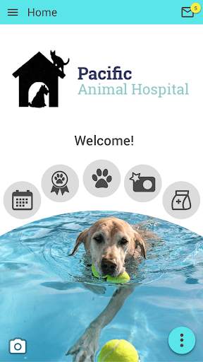 Pacific Animal Hospital MO screenshot 1