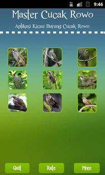 Straw-headed Bulbul screenshot 1