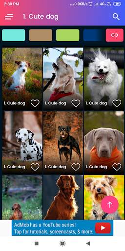 Dog status and wallpaper HD screenshot 5