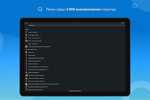 vet-Anatomy скриншот 11