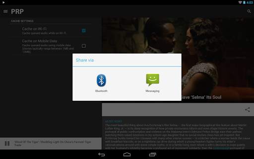 Public Radio Player screenshot 18