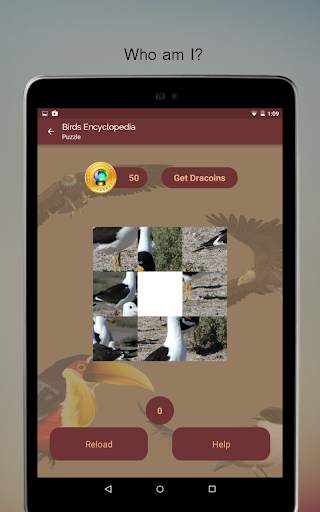 Birds Encyclopedia Offline App screenshot 14