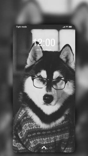 Husky Wallpaper screenshot 5