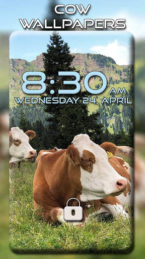 Cow Wallpapers screenshot 7