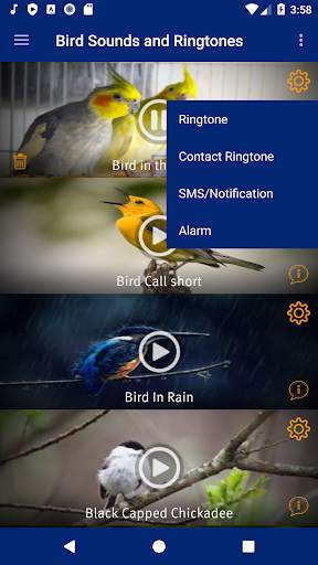 Bird Sounds and Ringtones screenshot 3