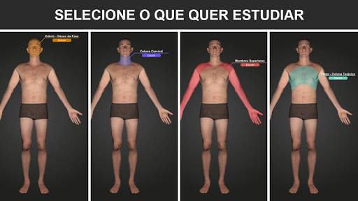 RX - Radiologia Posicionamento screenshot 1