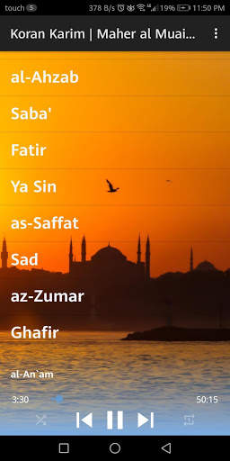 Koran Kareem offline | Maher al Muaiqly screenshot 5