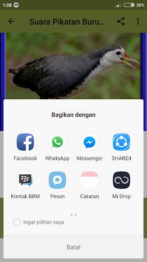 Pikatan Ruak Ruak Mp3 Terbaru Offline screenshot 5