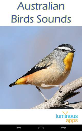 Australian Birds Sounds Free स्क्रीनशॉट 9