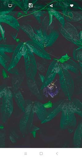 Обои-Wallpaper 4K HD screenshot 4