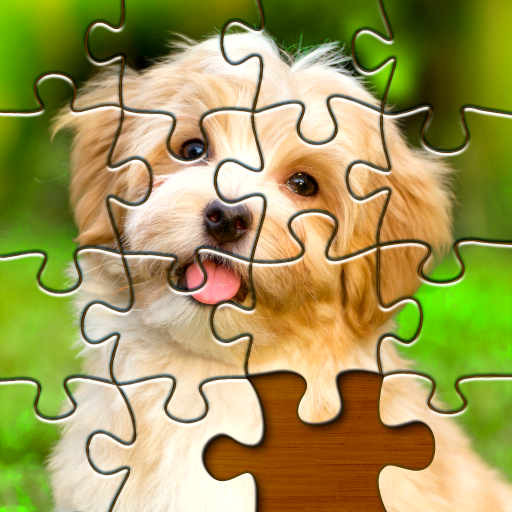 Puzzle Spiele: Jigsaw Puzzles icon