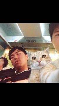 Selfie Cat Camera screenshot 5