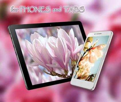Spring Magnolia live wallpaper screenshot 1