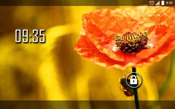 Macro Poppy Field Live WP screenshot 4