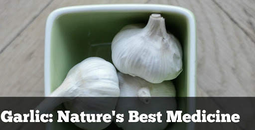 Health Benefits of Garlic screenshot 1