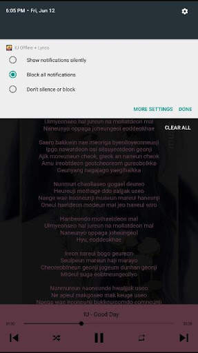 IU Offline Songs-Lyrics K-POP screenshot 5