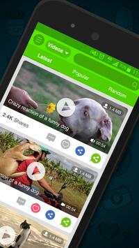 What’s Video for WhatsApp screenshot 2