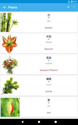 Chinese Vocabulary By Topics (With Pictures) screenshot 14