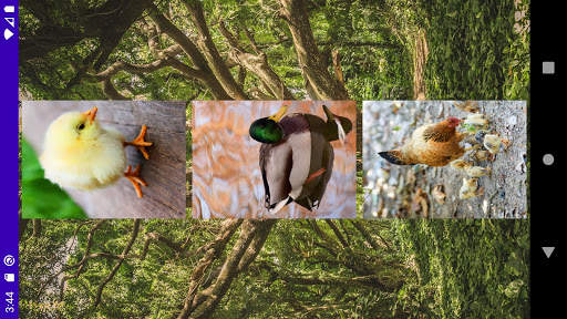 Match Animal Sounds screenshot 3
