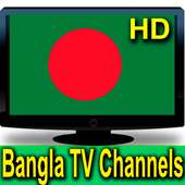 Bangladesh TV Channel HD logo