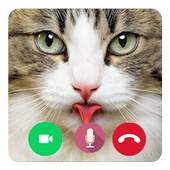 Call Video Talking Cat Prank 1.0