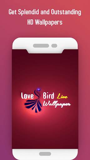 Love bird Live wallpaper screenshot 1