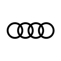 Audi Car Assistant