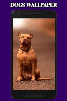 Dogs Wallpaper 2 تصوير الشاشة