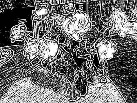 Open Effect Camera screenshot 2